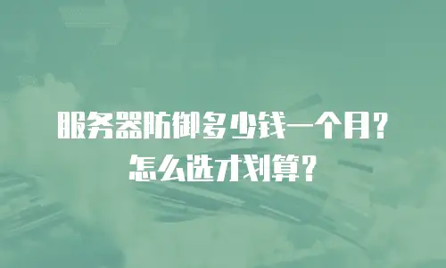 服务器防御多少钱一个月？怎么选才划算？