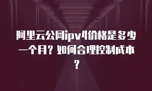 阿里云公网ipv4价格是多少一个月？如何合理控制成本？