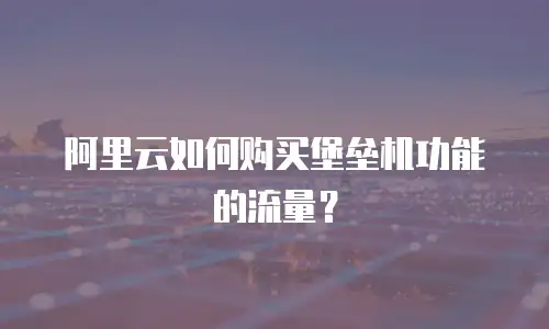 阿里云如何购买堡垒机功能的流量？