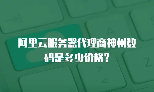 阿里云服务器代理商神州数码是多少价格？