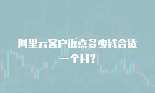 阿里云客户返点多少钱合适一个月？