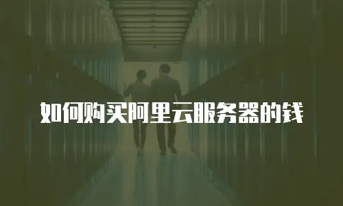 如何购买阿里云服务器的钱