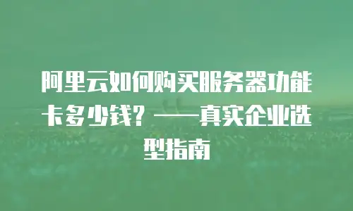 阿里云如何购买服务器功能卡多少钱？——真实企业选型指南