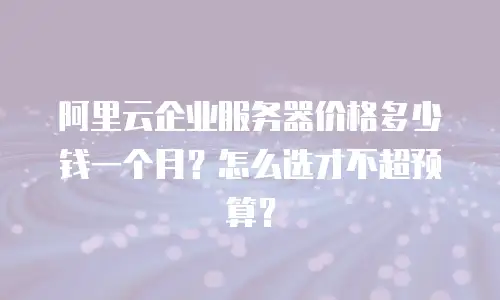 阿里云企业服务器价格多少钱一个月？怎么选才不超预算？