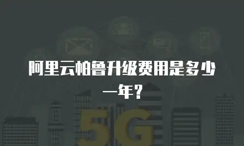 阿里云帕鲁升级费用是多少一年？