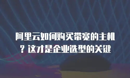 阿里云如何购买带宽的主机？这才是企业选型的关键