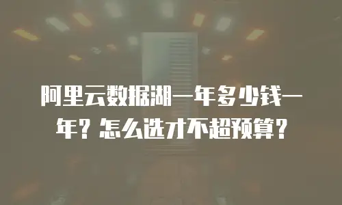 阿里云数据湖一年多少钱一年？怎么选才不超预算？