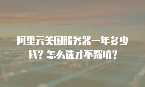 阿里云美国服务器一年多少钱？怎么选才不踩坑？