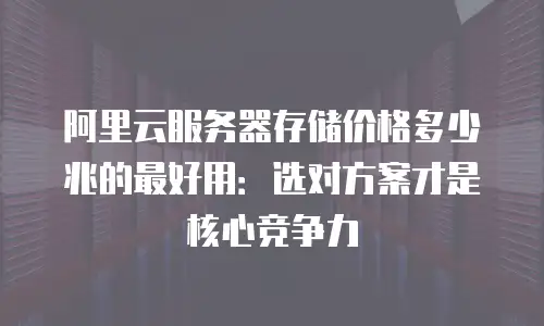 阿里云服务器存储价格多少兆的最好用：选对方案才是核心竞争力