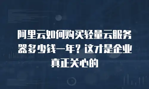 阿里云如何购买轻量云服务器多少钱一年？这才是企业真正关心的