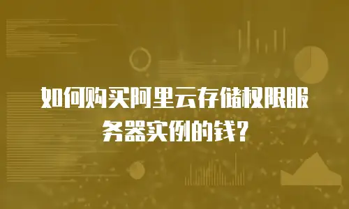 如何购买阿里云存储权限服务器实例的钱？
