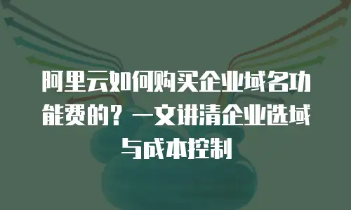 阿里云如何购买企业域名功能费的？一文讲清企业选域与成本控制