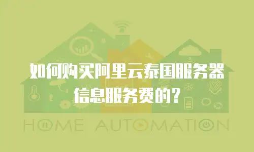 如何购买阿里云泰国服务器信息服务费的？