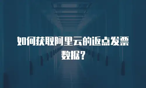 如何获取阿里云的返点发票数据？