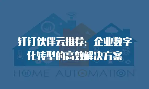 钉钉伙伴云推荐：企业数字化转型的高效解决方案