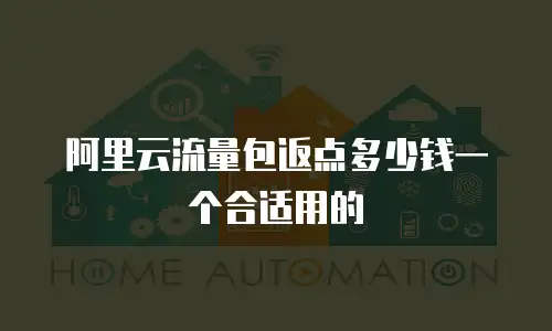 阿里云流量包返点多少钱一个合适用的