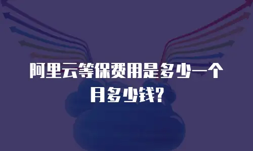 阿里云等保费用是多少一个月多少钱？