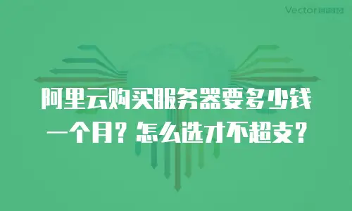 阿里云购买服务器要多少钱一个月？怎么选才不超支？