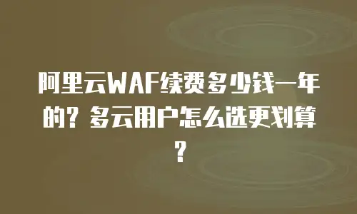 阿里云WAF续费多少钱一年的？多云用户怎么选更划算？