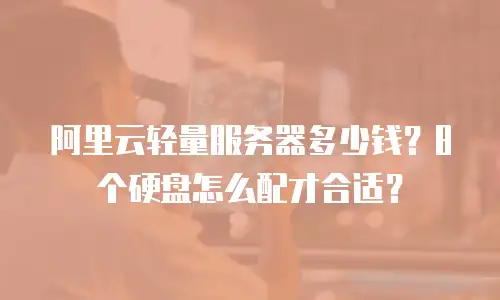 阿里云轻量服务器多少钱？8个硬盘怎么配才合适？