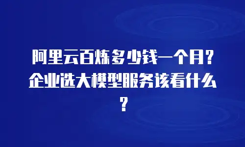 阿里云百炼多少钱一个月？企业选大模型服务该看什么？