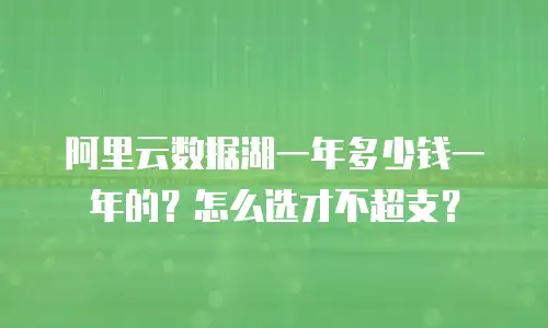 阿里云数据湖一年多少钱一年的？怎么选才不超支？