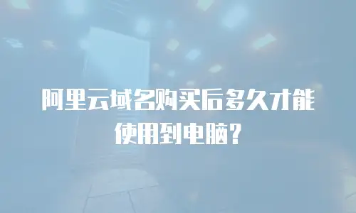 阿里云域名购买后多久才能使用到电脑？