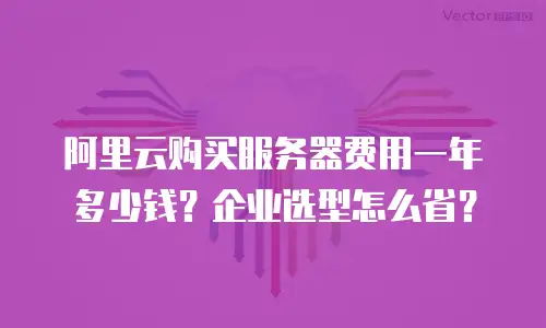 阿里云购买服务器费用一年多少钱？企业选型怎么省？