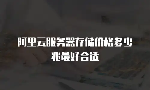 阿里云服务器存储价格多少兆最好合适