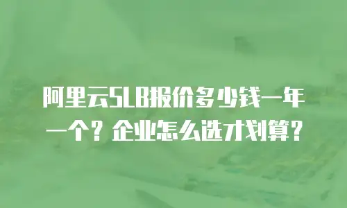 阿里云SLB报价多少钱一年一个？企业怎么选才划算？