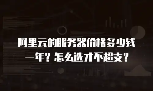 阿里云的服务器价格多少钱一年？怎么选才不超支？