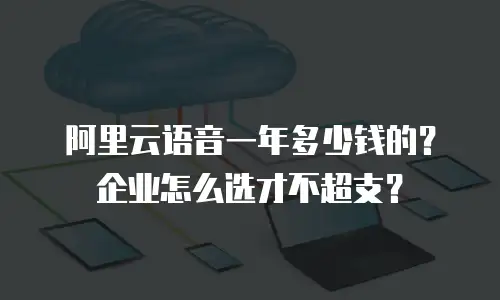 阿里云语音一年多少钱的？企业怎么选才不超支？