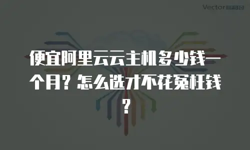 便宜阿里云云主机多少钱一个月？怎么选才不花冤枉钱？