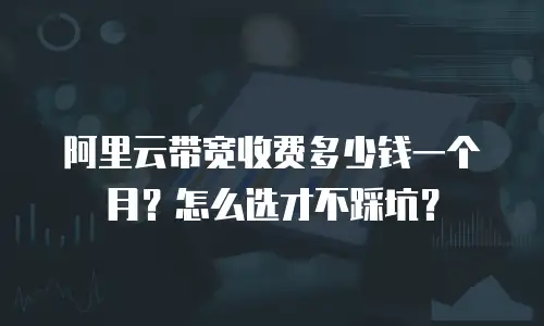 阿里云带宽收费多少钱一个月？怎么选才不踩坑？