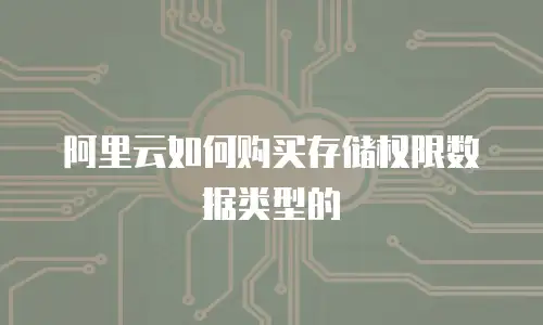阿里云如何购买存储权限数据类型的