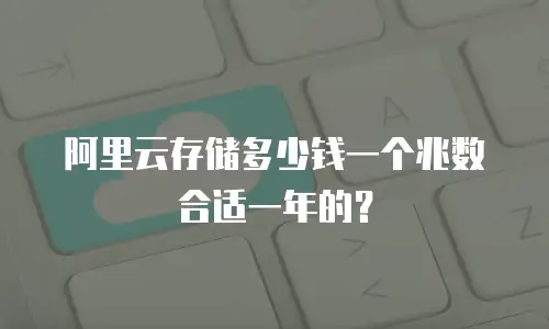 阿里云存储多少钱一个兆数合适一年的？