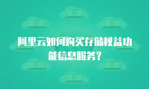 阿里云如何购买存储权益功能信息服务？