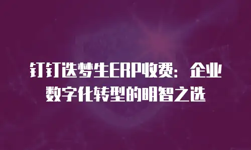 钉钉迭梦生ERP收费：企业数字化转型的明智之选