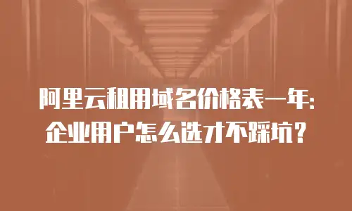 阿里云租用域名价格表一年：企业用户怎么选才不踩坑？