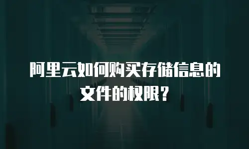 阿里云如何购买存储信息的文件的权限？