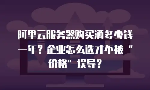 阿里云服务器购买酒多少钱一年？企业怎么选才不被“价格”误导？