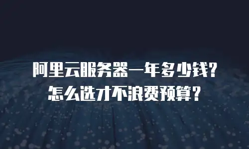 阿里云服务器一年多少钱？怎么选才不浪费预算？