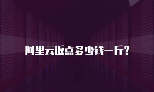 阿里云返点多少钱一斤？
