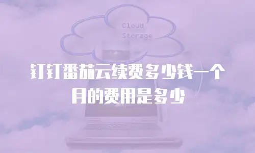 钉钉番茄云续费多少钱一个月的费用是多少