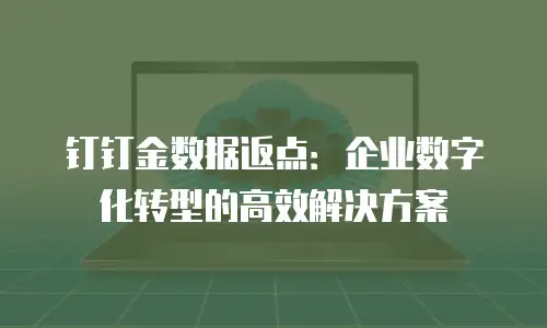 钉钉金数据返点：企业数字化转型的高效解决方案