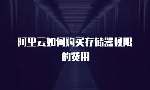 阿里云如何购买存储器权限的费用