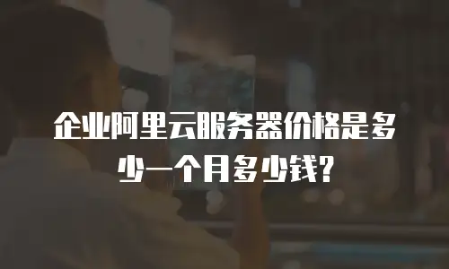 企业阿里云服务器价格是多少一个月多少钱？