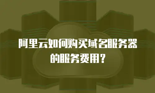 阿里云如何购买域名服务器的服务费用？