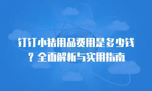 钉钉小猪用品费用是多少钱？全面解析与实用指南