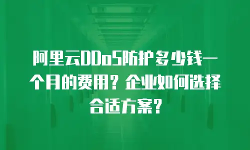 阿里云DDoS防护多少钱一个月的费用？企业如何选择合适方案？
